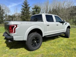 
										2020 Ford F150 SuperCrew Cab Raptor Pickup 4D 5 1/2 ft full									